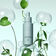 SCALP SOLUTIONS OVERNIGHT RECOVERY SERUM (SUERO ANTI ENVEJECIMIENTO)